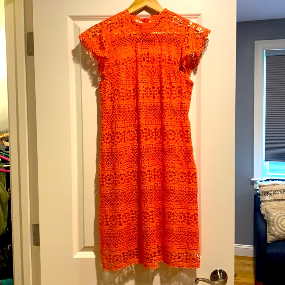 Cupcakes and cashmere dress